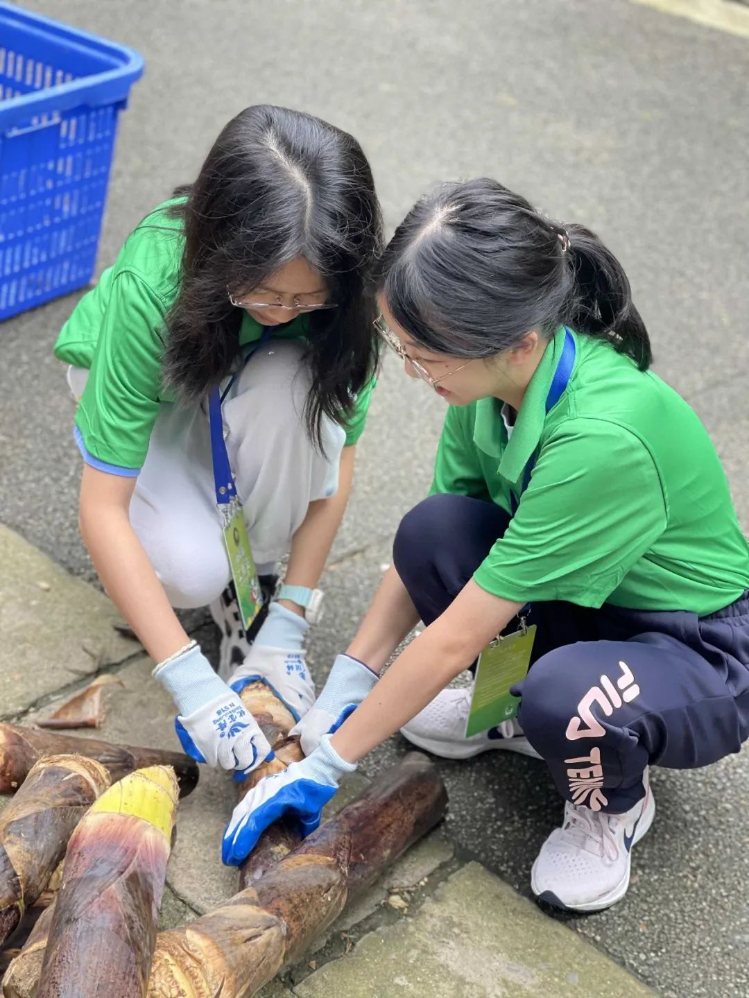 广东一对一外教怎么选：十万人碾压比分的大冷门？这群广东学生拿下了7个A*！不愧是“华中系”唯一的海外学校……-第30张图片-阿卡索