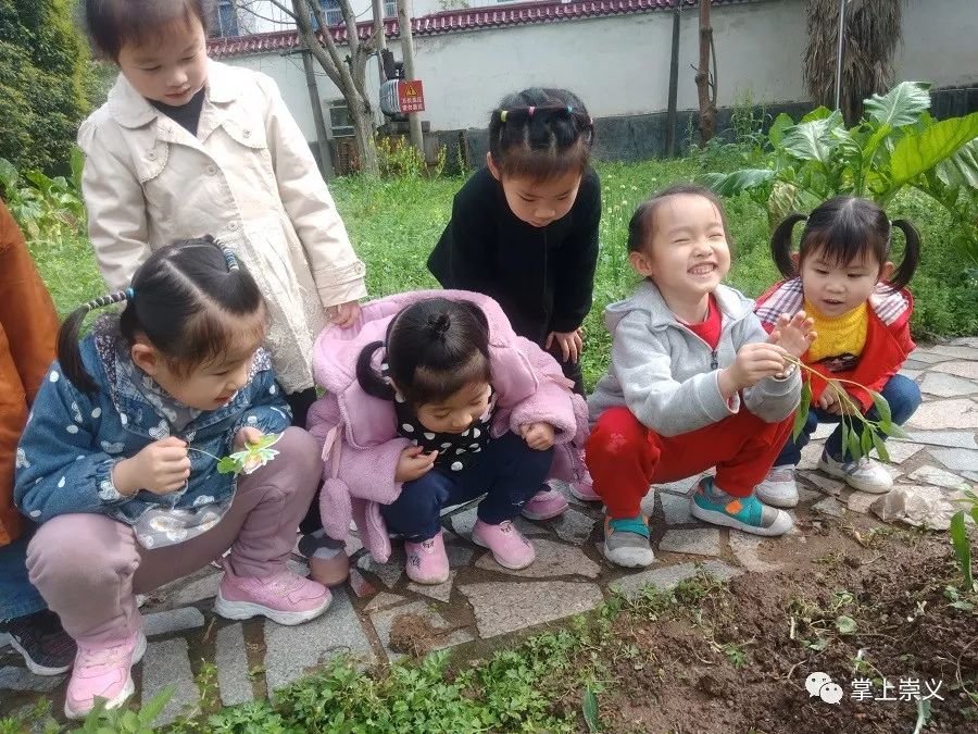 孩子如何找外教一对一辅导：给孩子一个快乐的童年，寻找有同样理念的父母-第19张图片-阿卡索