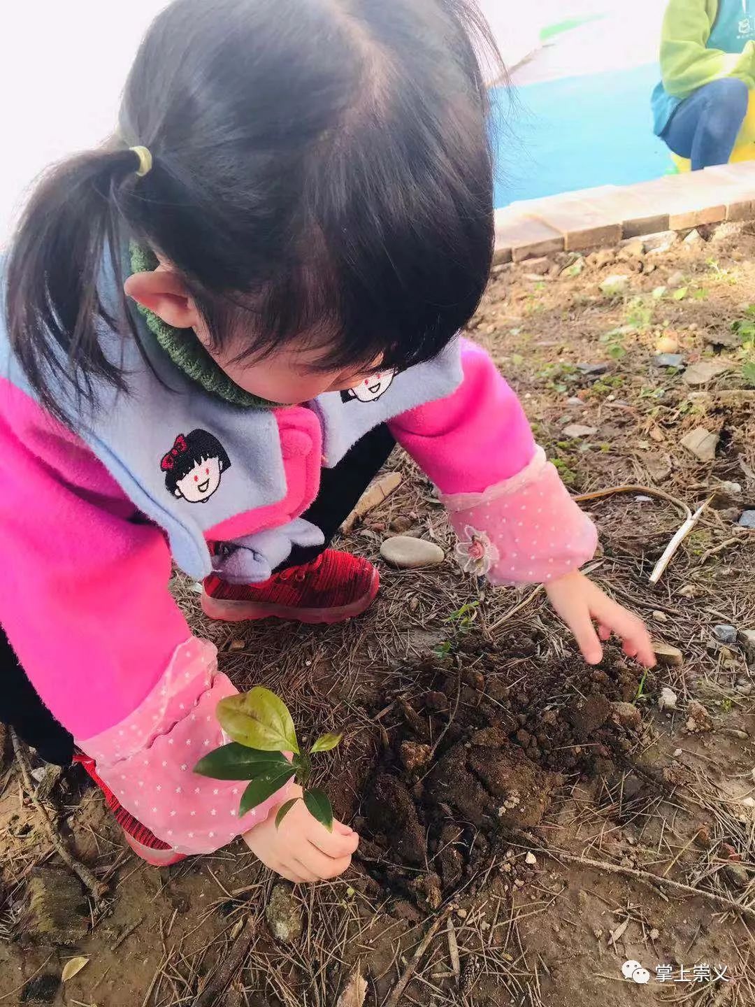 孩子如何找外教一对一辅导：给孩子一个快乐的童年，寻找有同样理念的父母-第25张图片-阿卡索