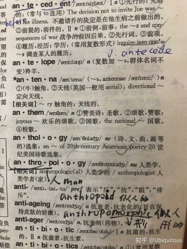 学英语背字典有用吗？-第2张图片-阿卡索