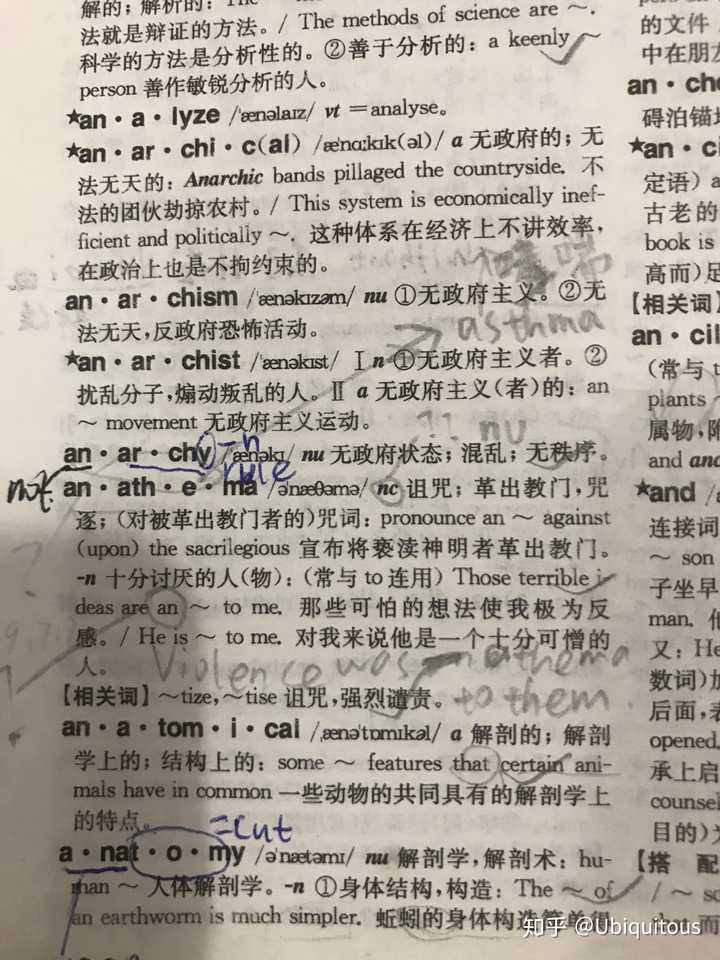 学英语背字典有用吗？-第4张图片-阿卡索