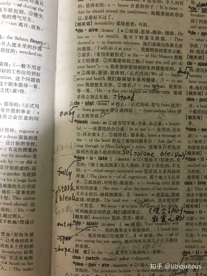 学英语背字典有用吗？-第9张图片-阿卡索