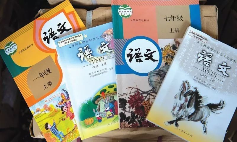 哪个好外教一对一线上线下：中文会成为K12教育的下一个热门话题吗？-第3张图片-阿卡索