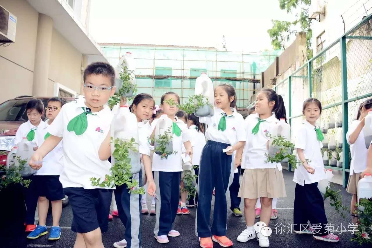 上海钢琴外教一对一收费：哪家私人鸡血店比较好？上海PK（下）-第14张图片-阿卡索