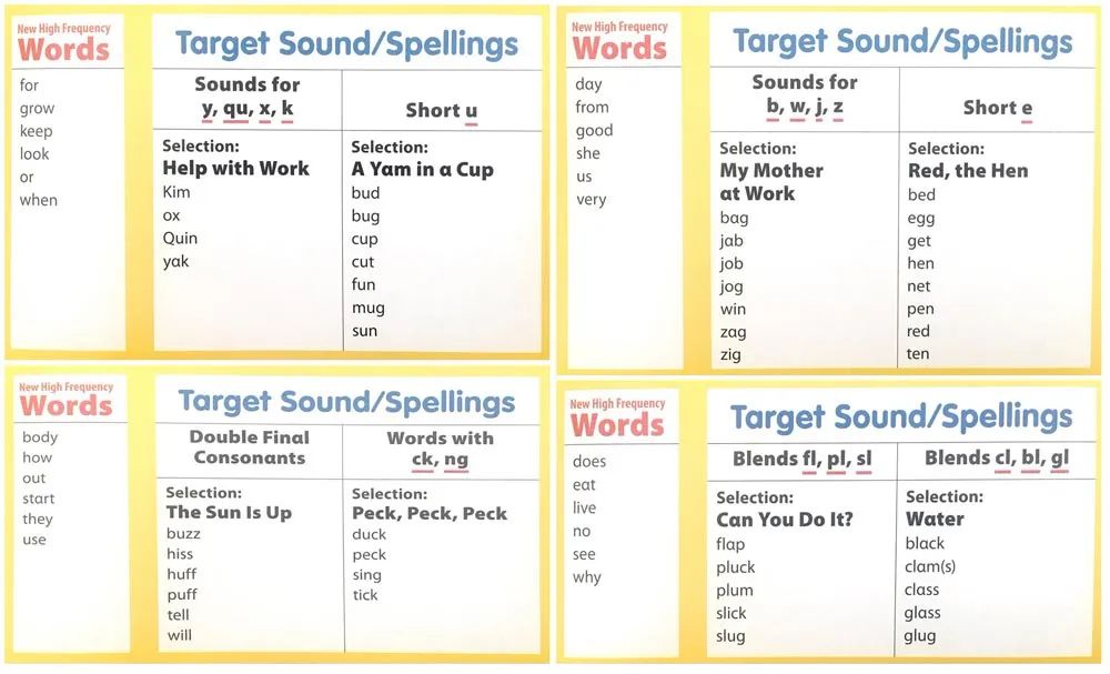 外教一对一英语自然拼读：United States Reach Phonics 教科书 + 外教 视频课程：加强语音技能，在阅读中建立词汇量！-第17张图片-阿卡索