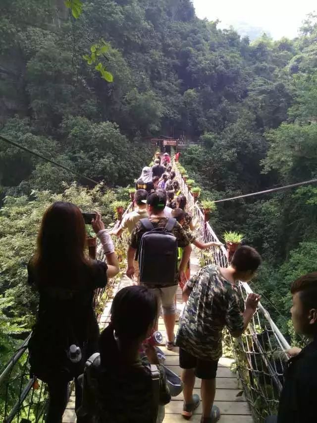 桂林外教一对一：荔浦人民，看！这里有一群外国友人正在观看。有趣的是-第31张图片-阿卡索