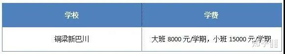 重庆41所院校热门加盟费表！ 关于私立学校你了解多少？-第15张图片-阿卡索