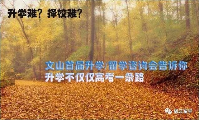 大同一对一外教：上名校、进名企！文山州首场升学/留学教育咨询会揭秘如何直达海外名校-第1张图片-阿卡索