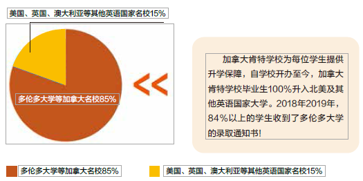 一对一指导外教：想进入世界顶尖名校？这所学校为你提供一对一的指导-第2张图片-阿卡索