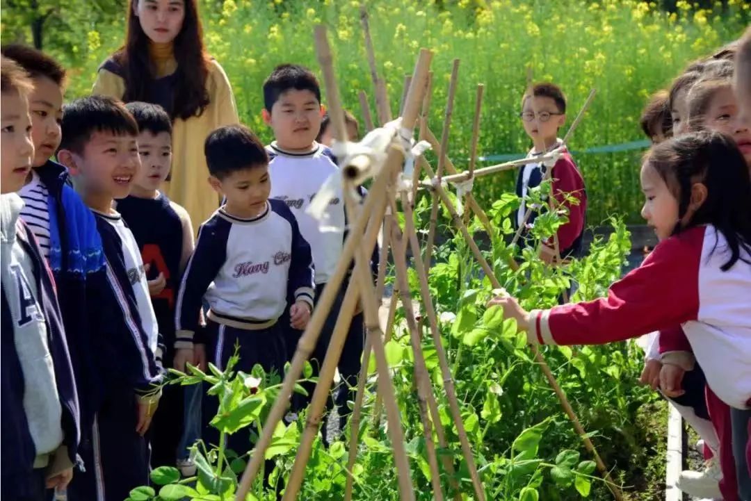 太仓外教一对一：国际学校咨询服务展丨提前了解康桥学校昆山校区-第17张图片-阿卡索