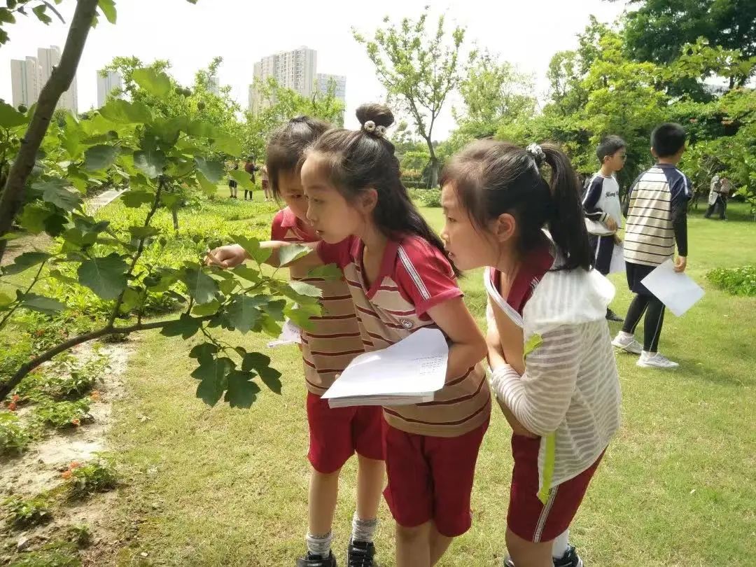 太仓外教一对一：国际学校咨询服务展丨提前了解康桥学校昆山校区-第18张图片-阿卡索