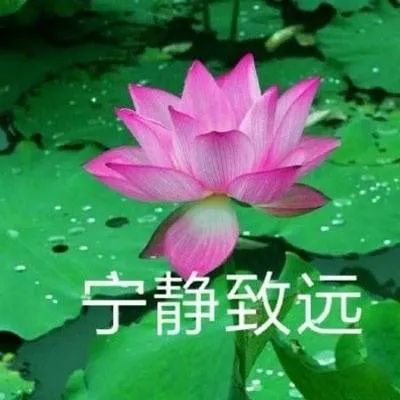 有什么推荐的一对一外教：口碑推荐|开学季1对1外教课优惠中，不买就错过了-第14张图片-阿卡索