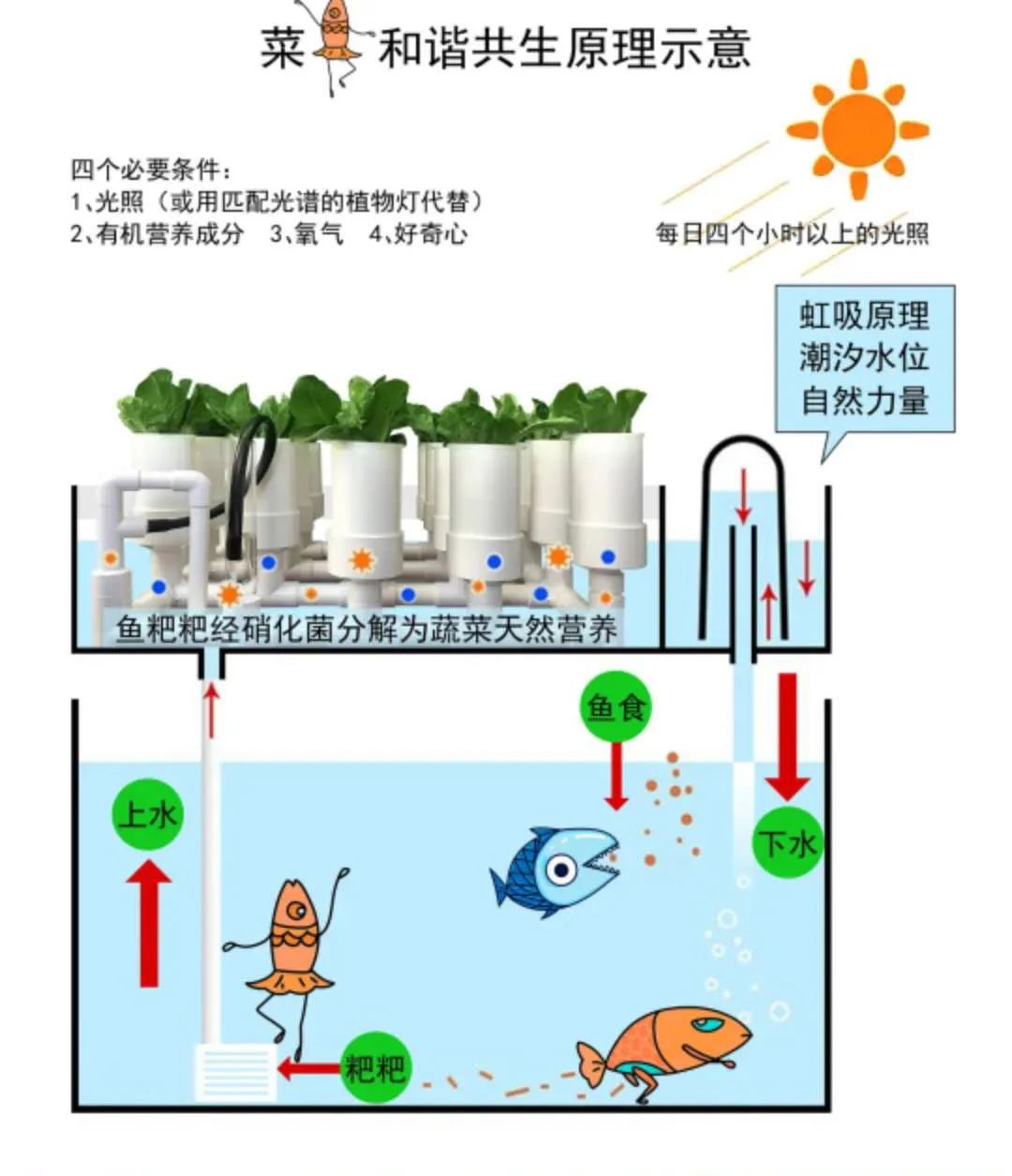 深圳市辅导一对一外教平台：吸引华为高管和海归教授，深圳这所学校为何拥有如此良好的声誉？-第18张图片-阿卡索