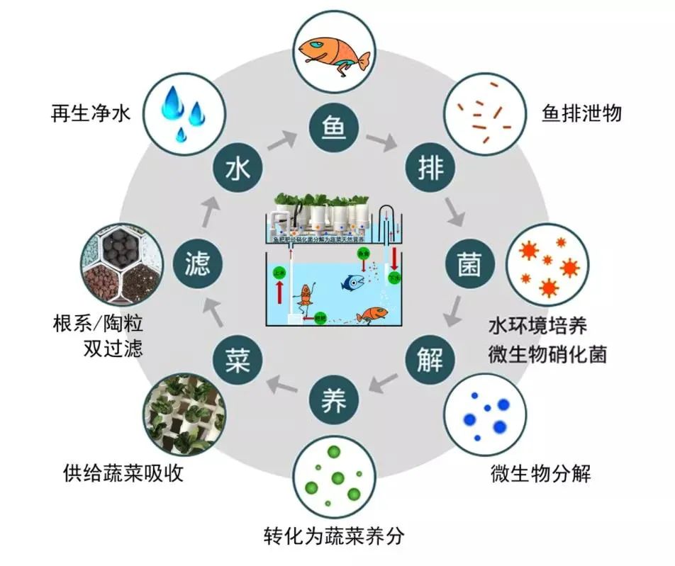 深圳市辅导一对一外教平台：吸引华为高管和海归教授，深圳这所学校为何拥有如此良好的声誉？-第19张图片-阿卡索