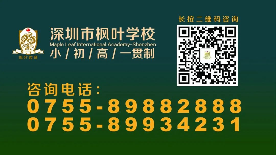 深圳市辅导一对一外教平台：深圳枫叶学校@you丨选择枫叶的理由-第22张图片-阿卡索