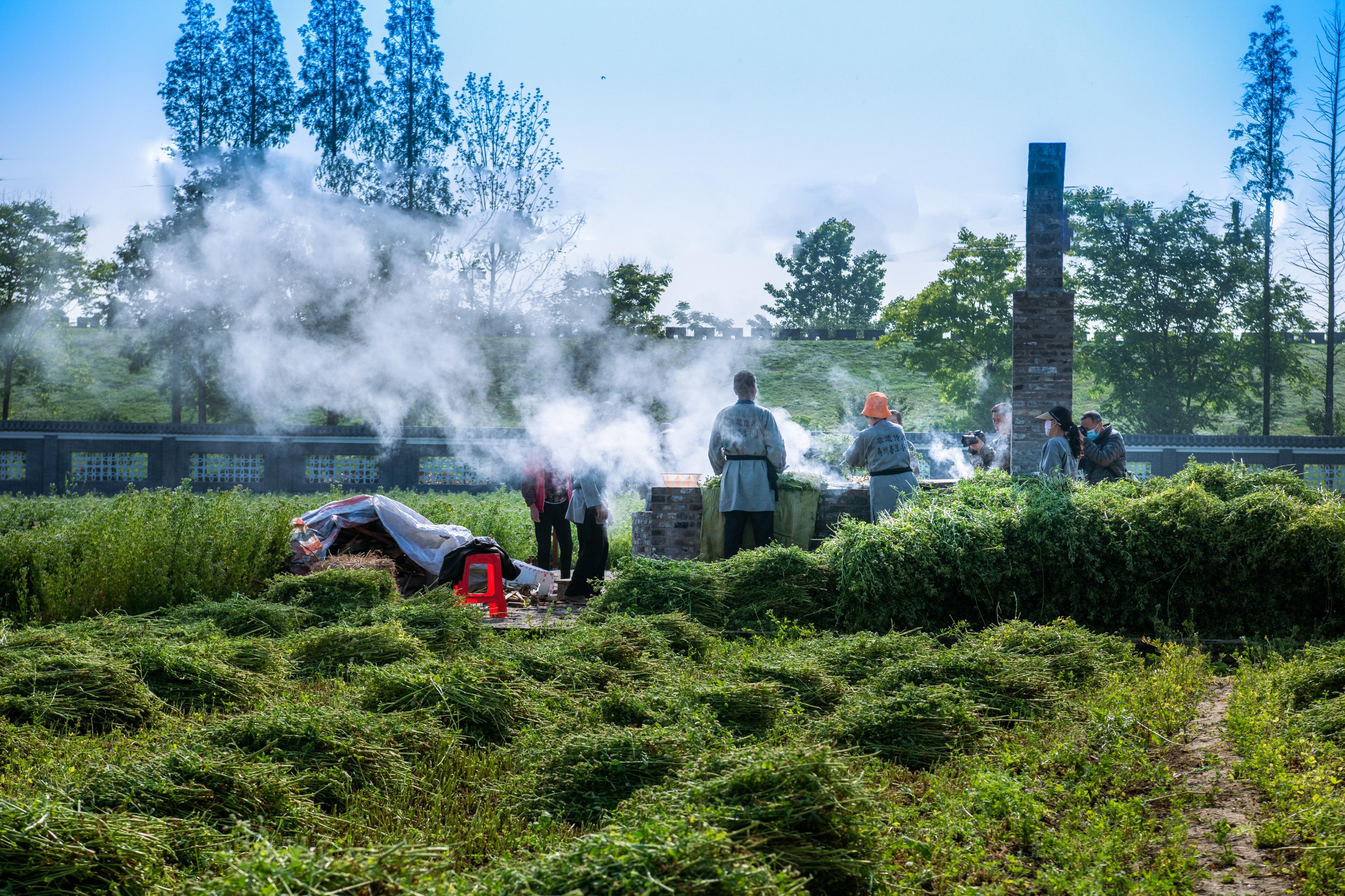 一对一外教英语六安：数百位摄影师的数百张照片记录我的2023-第50张图片-阿卡索