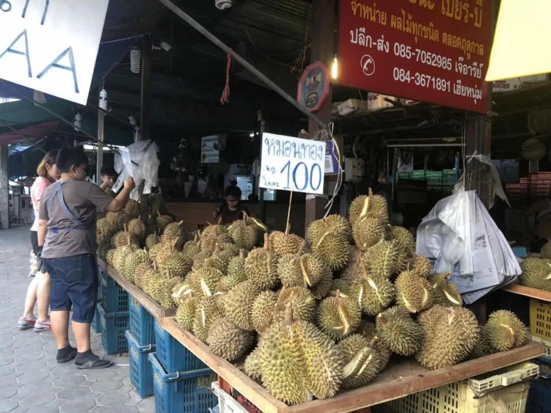 出行旅游英语一对一外教：进来！“暑假带孩子去清迈学英语”！迅路记海外产品又回来了！-第76张图片-阿卡索