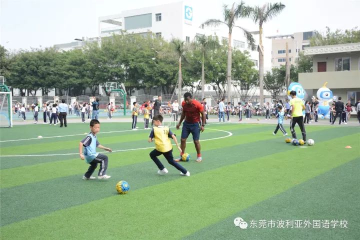 东莞有没有一对一外教：东莞保雅外国语学校招生八问及解答-第20张图片-阿卡索