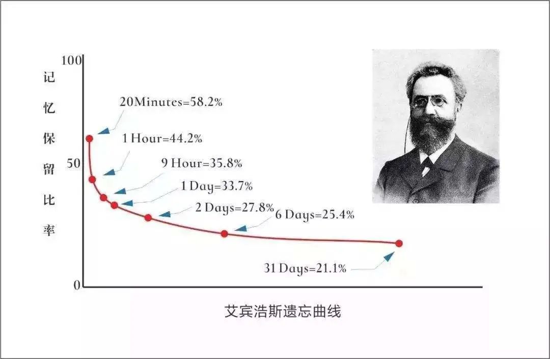 一对一视频外教有用吗知乎：有哪些学习方法让我后悔没有早点知道？ - 艾宾浩斯遗忘曲线-第1张图片-阿卡索