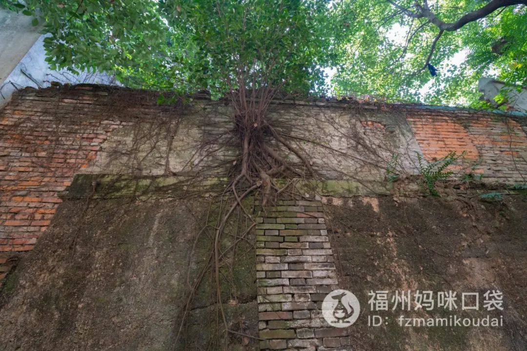 福州英语外教一对一老师：口袋花园探索|时隔一年，隐藏在老苍山深处的双语幼儿园又添国际班了！蒙特梭利理念，外教班，今年涨价不涨！-第15张图片-阿卡索