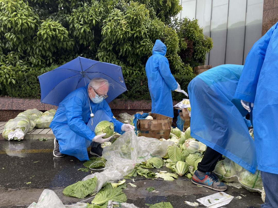 上海有上门一对一外教：听上海外国志愿者分享抗疫故事：志愿者是暂时的，邻里情谊是长久的。-第2张图片-阿卡索