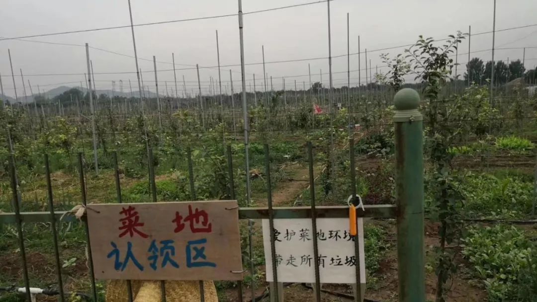 一对一外教自我介绍怎么说：英国朋友的外教日-第7张图片-阿卡索