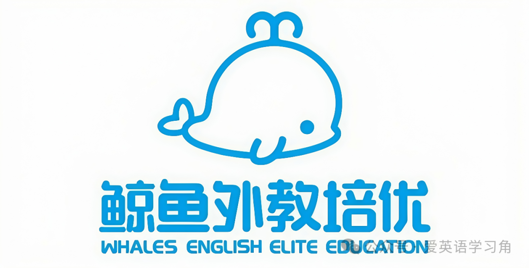 怎么约欧美外教：比较8个流行的英语外教机构：哪一个是您孩子最好的？ （包括价格）-第6张图片-阿卡索