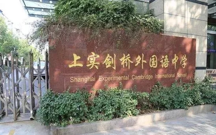 上海线上外教英语一对一：上海国际学校招聘信息最全面的摘要-第13张图片-阿卡索