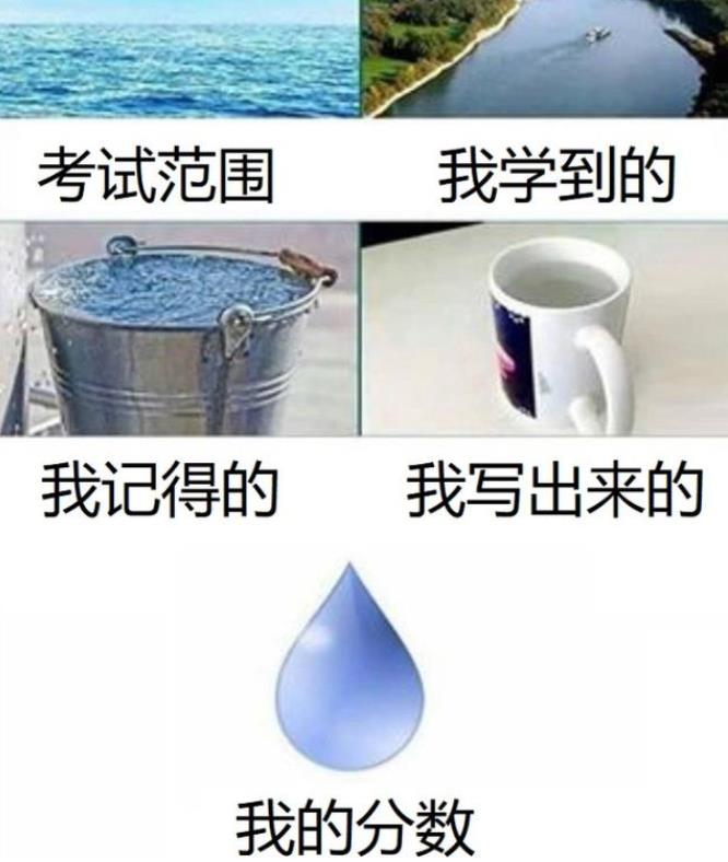 在国外教中文的资格：美国学生借梗图吐槽汉语难学：我没资格学中文？笑出猪叫-第2张图片-阿卡索