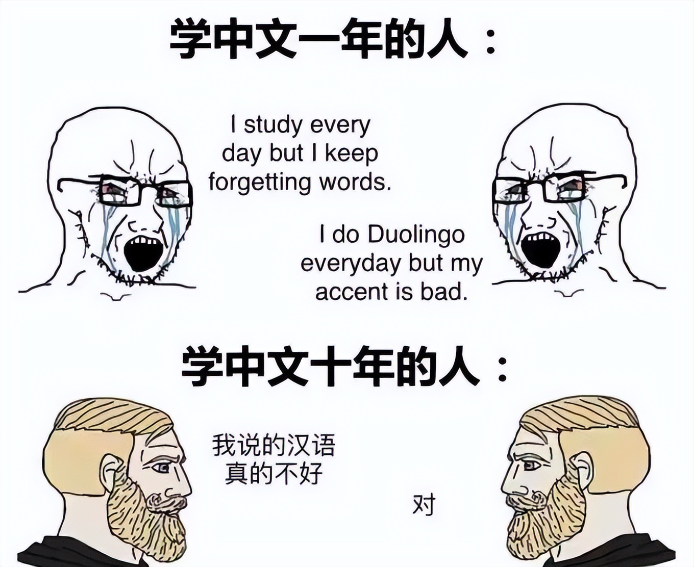 在国外教中文的资格：美国学生借梗图吐槽汉语难学：我没资格学中文？笑出猪叫-第5张图片-阿卡索