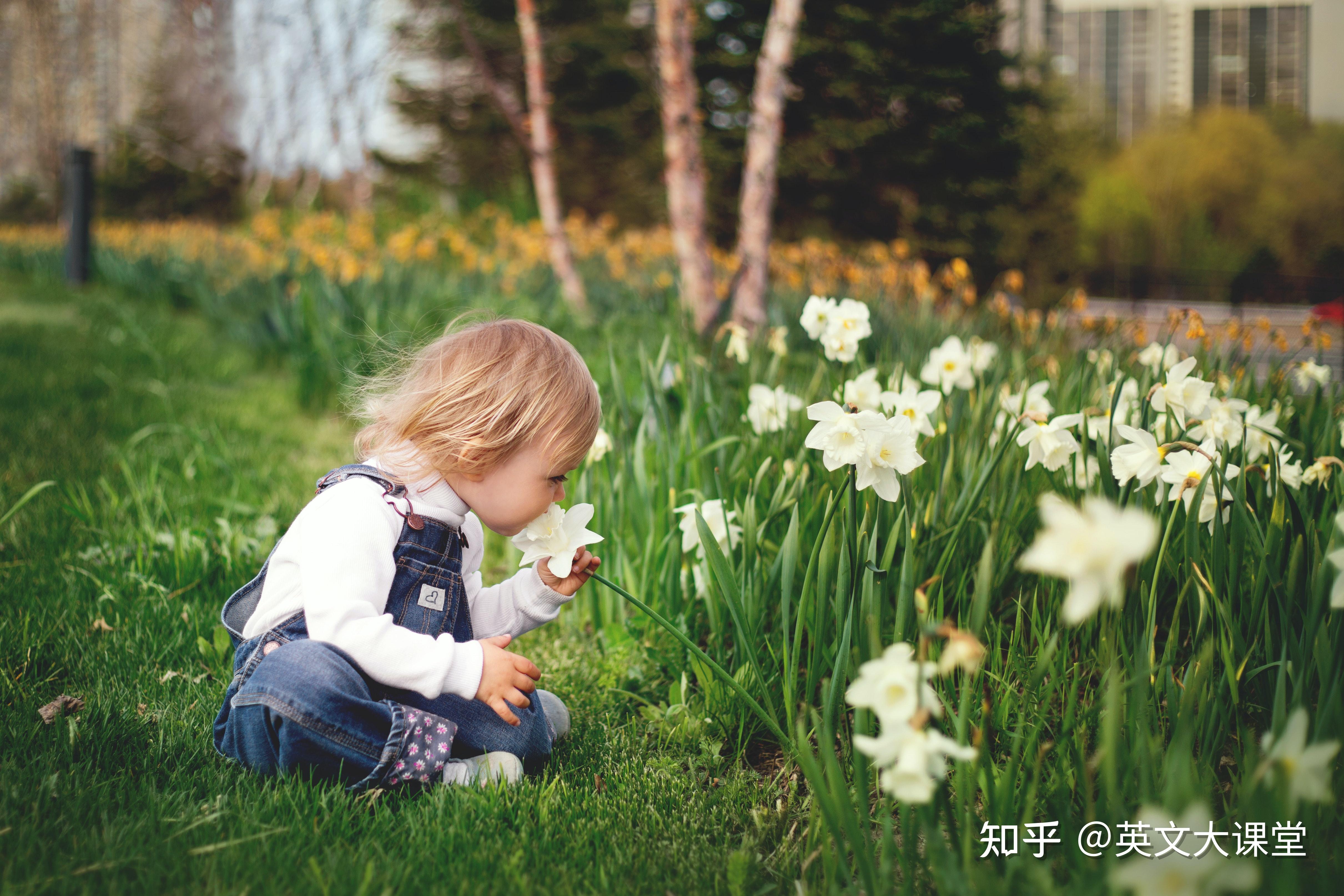 英语在线试听：哪个在线英语课程具有成本效益？听完六个机构后，让我谈谈真实的真相-第2张图片-阿卡索