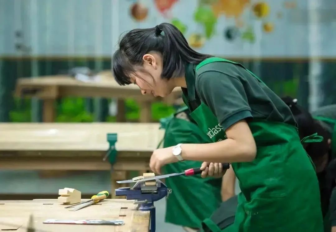 苏州园区一对一外教：苏州工业园区外语学校的A级艺术课程中心已启动入学！-第42张图片-阿卡索