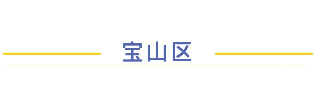 莘庄外教一对一：低调和强大的力量：上海每个地区的最佳实验者-第13张图片-阿卡索