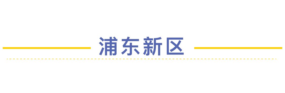 莘庄外教一对一：低调和强大的力量：上海每个地区的最佳实验者-第7张图片-阿卡索