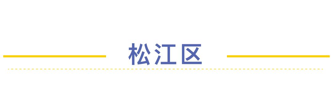 莘庄外教一对一：低调和强大的力量：上海每个地区的最佳实验者-第10张图片-阿卡索