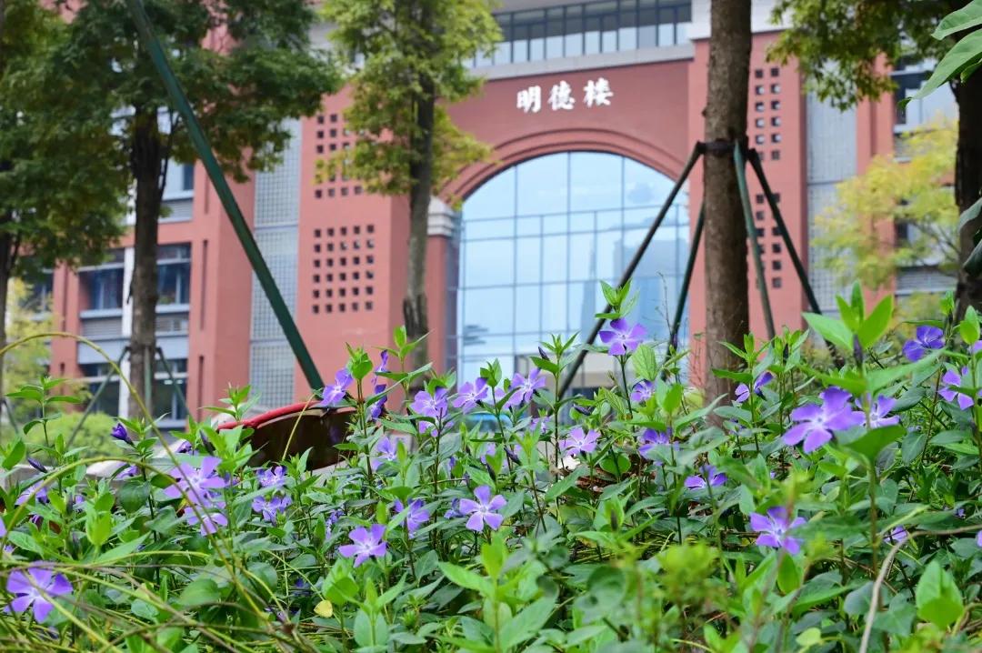 成都一对一外教家教：4月12日，将于2020年成都7号中学国际部门的第一次在线简报会议启动-第4张图片-阿卡索