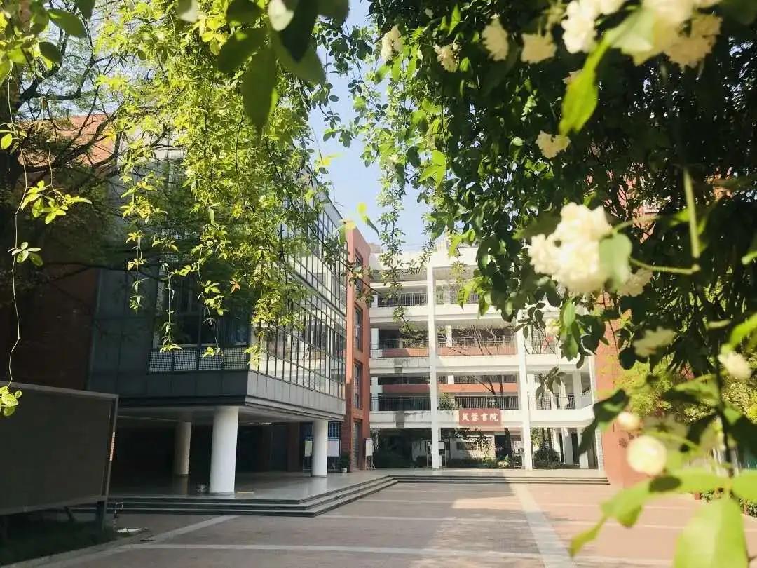 成都一对一外教家教：4月12日，将于2020年成都7号中学国际部门的第一次在线简报会议启动-第5张图片-阿卡索