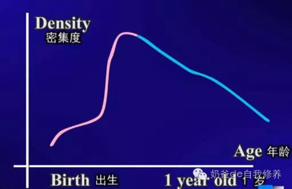 德语外教线下 一对一：尽管有必要尽早学习英语，但我们使用的大多数方法最终都非常有效……-第3张图片-阿卡索