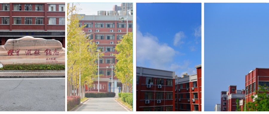 邵阳外教一对一：刚刚宣布！这与Shaoyang的Xiangjunmingzhi学校的高中招募第一年有关-第6张图片-阿卡索