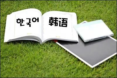 线上韩语一对一外教：韩国教育|请保留本韩国学习指南！-第2张图片-阿卡索