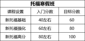 保定外教一对一童托教：2021年保定托福寒假班热招中！一对一与小托福培训哪家强？-第1张图片-阿卡索