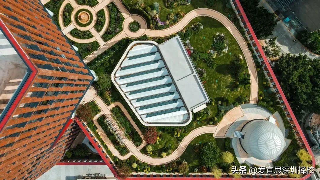 深圳外教1对2 英语学费多少钱：一年50万！深圳这5所国际学校学费为何上涨？-第1张图片-阿卡索