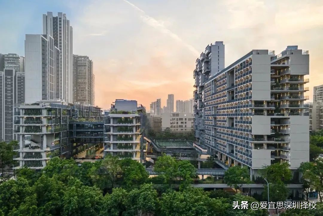 深圳外教1对2 英语学费多少钱：一年50万！深圳这5所国际学校学费为何上涨？-第3张图片-阿卡索