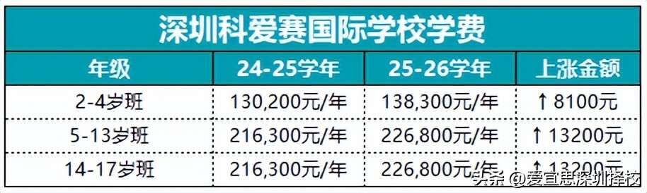 深圳外教1对2 英语学费多少钱：一年50万！深圳这5所国际学校学费为何上涨？-第6张图片-阿卡索