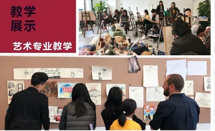 日本一对一外教平台排名：直接进入世界知名学校，海安家门口的这所学校真是太神奇了-第25张图片-阿卡索