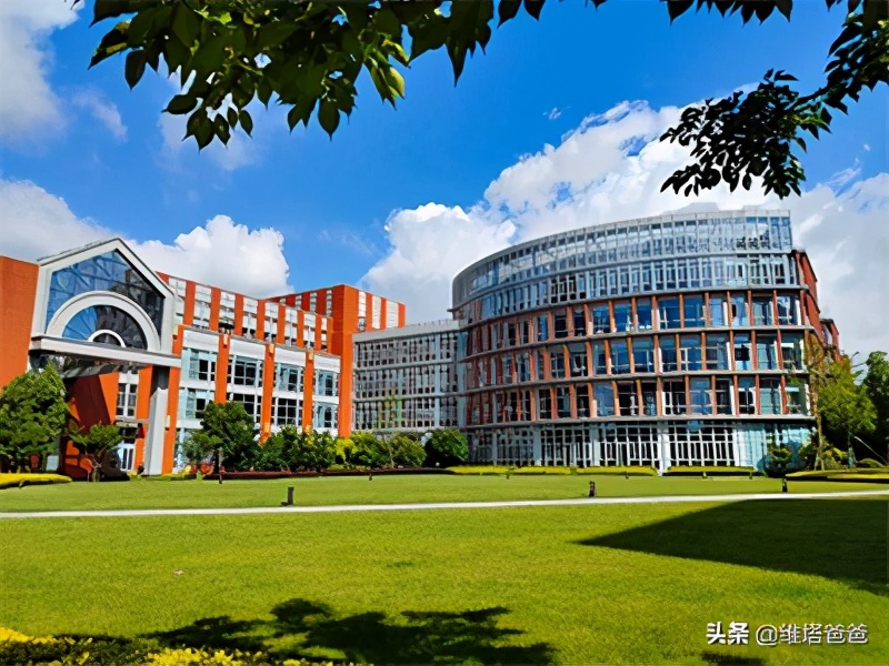 上海浦东外教一对一：上海的Minhang国际学校是什么？收费费用-第8张图片-阿卡索