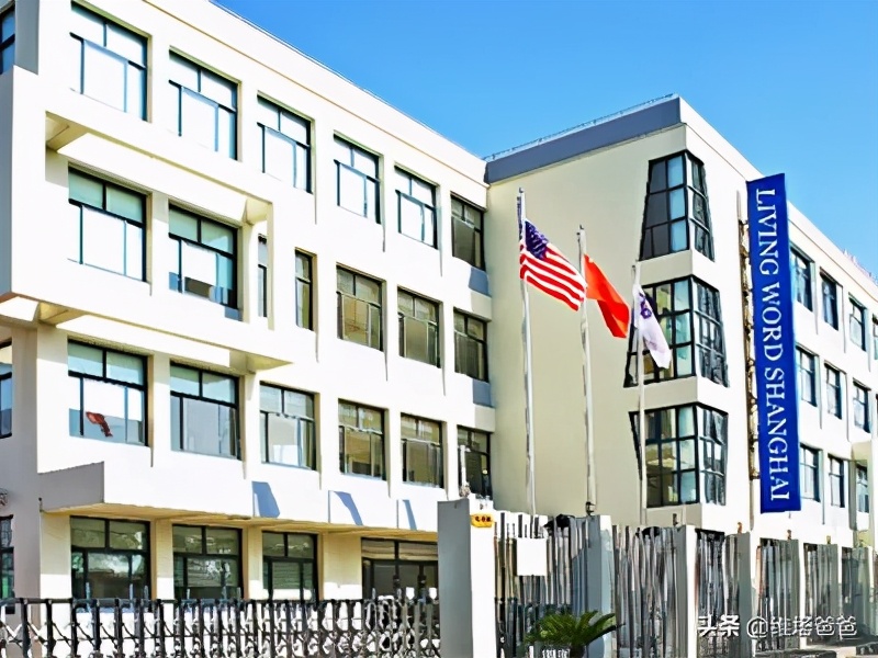 上海浦东外教一对一：上海的Minhang国际学校是什么？收费费用-第10张图片-阿卡索