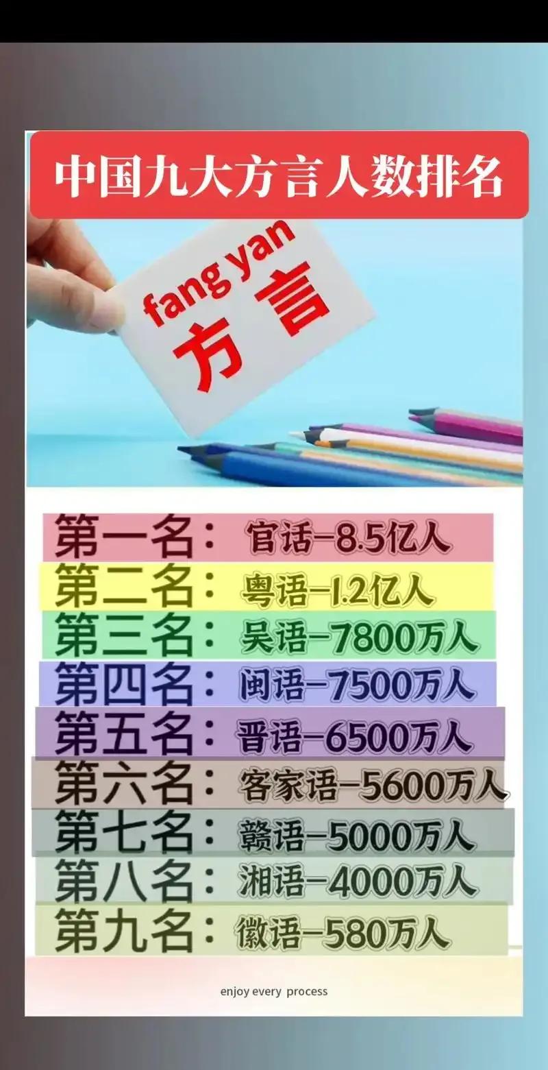 印度语外教一对一：“方言战：当塑料普通话遇到祖先的尘世味时”-第2张图片-阿卡索