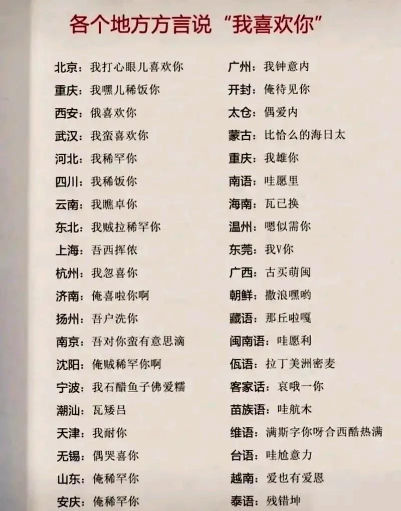 印度语外教一对一：“方言战：当塑料普通话遇到祖先的尘世味时”-第4张图片-阿卡索