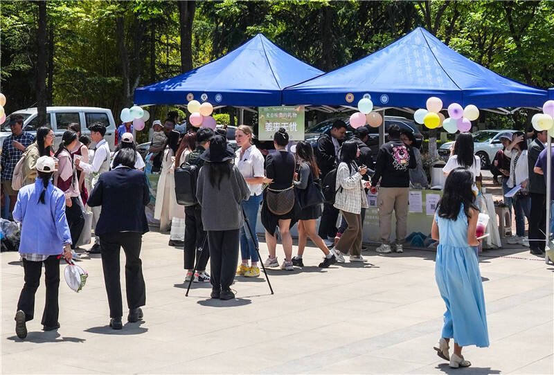 印度语外教一对一：云南师范大学举行了“国际中国日”庆祝活动，体验中国文化的魅力-第4张图片-阿卡索